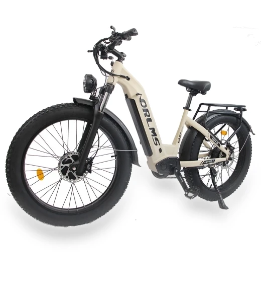Electric Bike — Electric Self-Balancing Scooters, Orlms