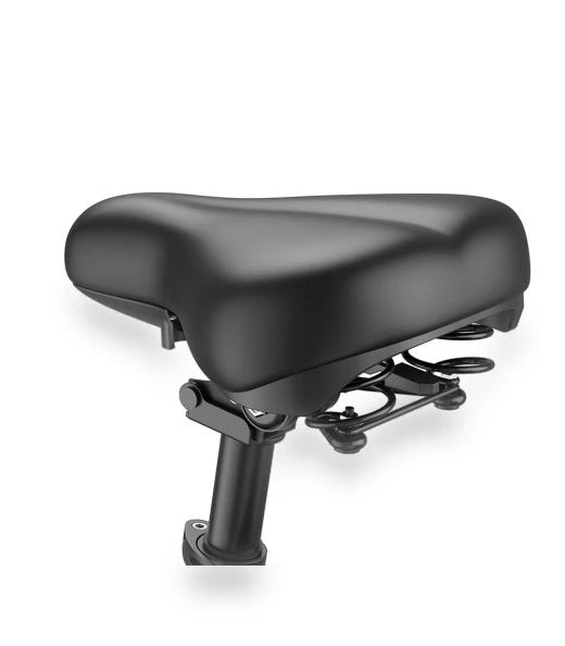 Foldable Electric Bike — Electric Self-Balancing Scooters, Fafrees