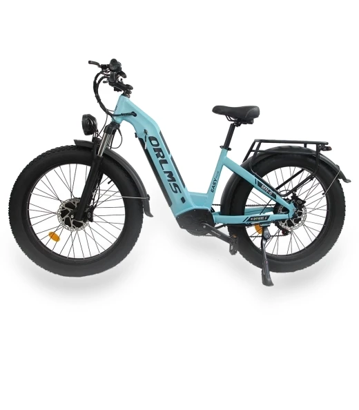 Electric Bike — Electric Self-Balancing Scooters, Orlms