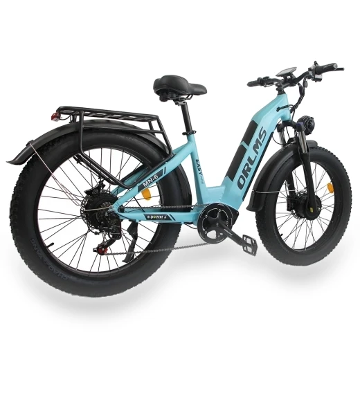 Electric Bike — Electric Self-Balancing Scooters, Orlms