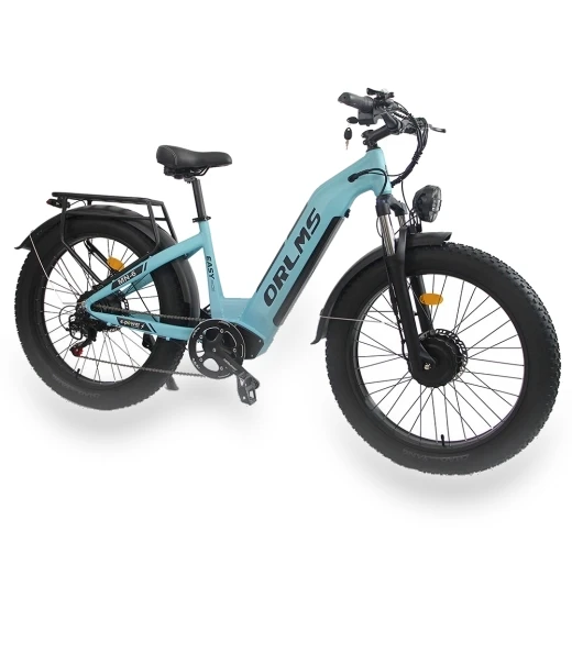 Electric Bike — Electric Self-Balancing Scooters, Orlms
