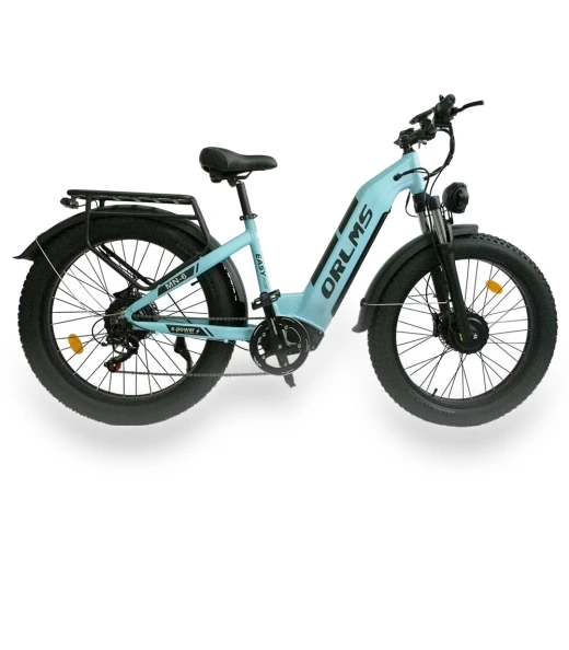 Electric Bike — Electric Self-Balancing Scooters, Orlms