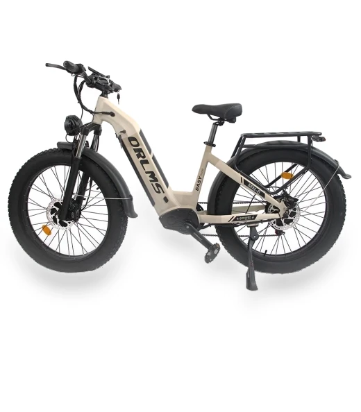 Electric Bike — Electric Self-Balancing Scooters, Orlms