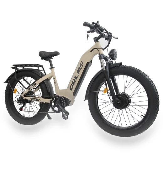 Electric Bike — Electric Self-Balancing Scooters, Orlms