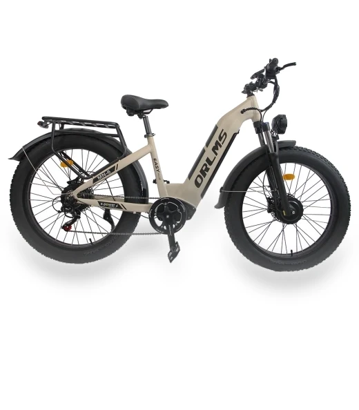 Electric Bike — Electric Self-Balancing Scooters, Orlms