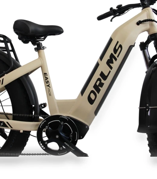 Electric Bike — Electric Self-Balancing Scooters, Orlms