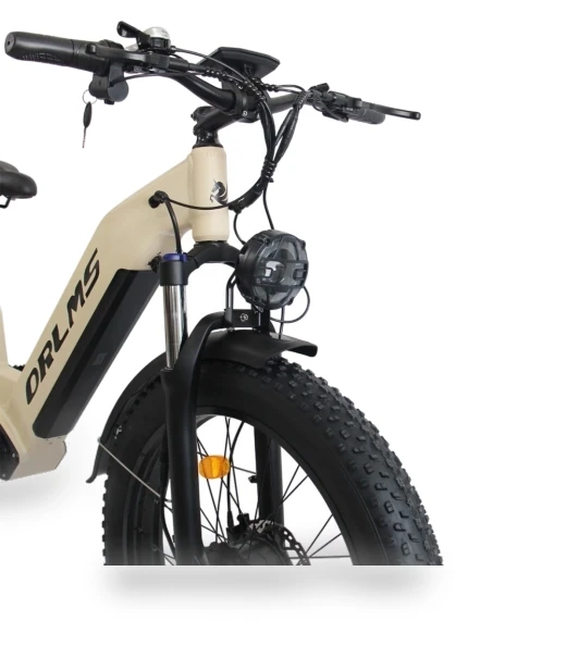 Electric Bike — Electric Self-Balancing Scooters, Orlms