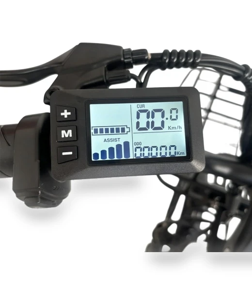 Electric Bike — Electric Self-Balancing Scooters, Orlms