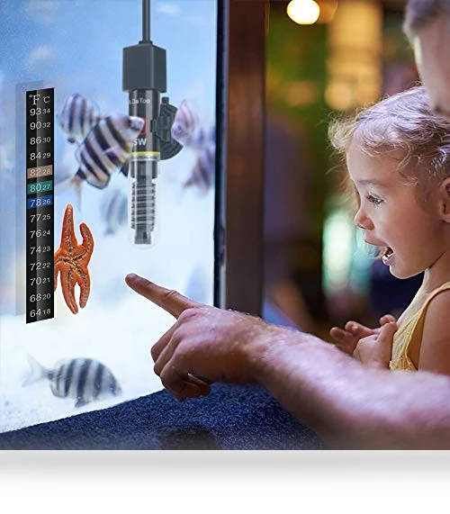 Mini Aquarium Heater — Heaters & Chillers, DaToo