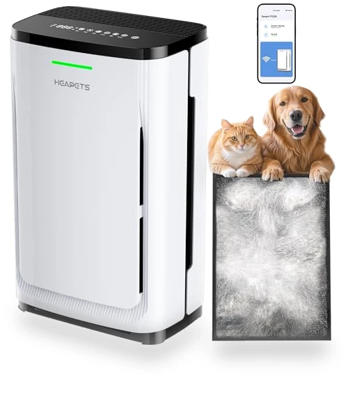 Air Purifier for Large Rooms — Activated Carbon Air Purifiers, HEAPETS