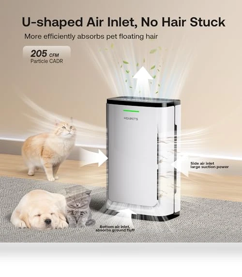Air Purifier for Large Rooms — Activated Carbon Air Purifiers, HEAPETS