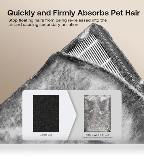 Air Purifier for Large Rooms — Activated Carbon Air Purifiers, HEAPETS