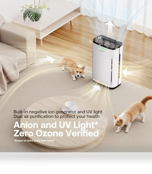 Air Purifier for Large Rooms — Activated Carbon Air Purifiers, HEAPETS