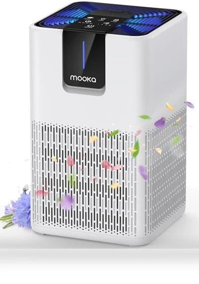 H13 HEPA Air Purifier — Activated Carbon Air Purifiers, Mooka
