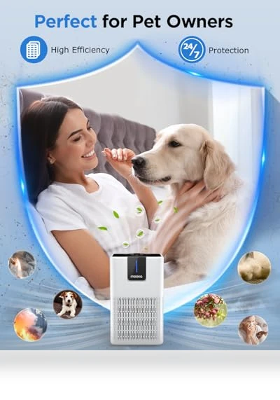 H13 HEPA Air Purifier — Activated Carbon Air Purifiers, Mooka