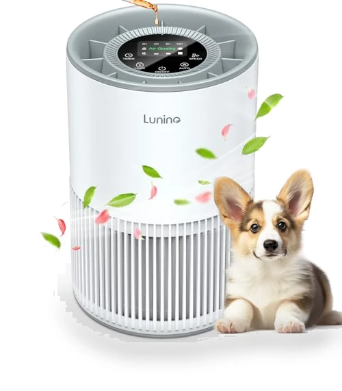 H13 True HEPA Air Purifier — Electrostatic Air Purifiers, LUNINO