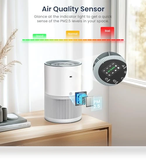 H13 True HEPA Air Purifier — Electrostatic Air Purifiers, LUNINO