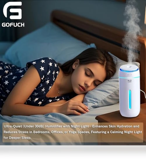 Portable Mini Humidifier — Air Moisturizers, gofuch