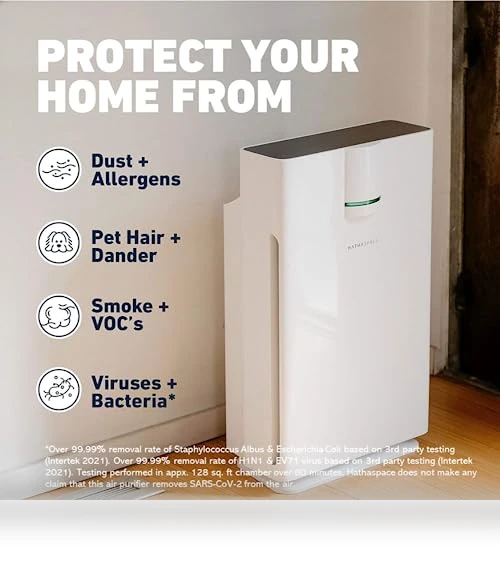 True HEPA Air Purifier — Activated Carbon Air Purifiers, HATHASPACE