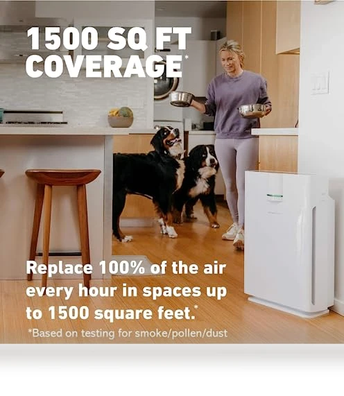 True HEPA Air Purifier — Activated Carbon Air Purifiers, HATHASPACE