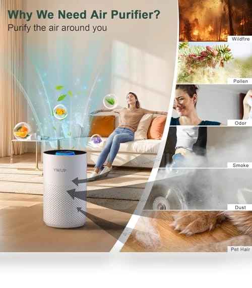 Air Purifier with H14 True HEPA Filter — Activated Carbon Air Purifiers, VNIUP