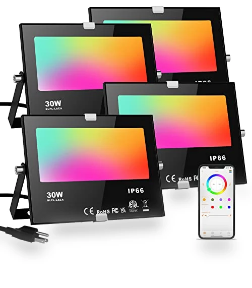 RGB Color Changing LED Flood Lights — Outdoor Light Projectors, ChangM