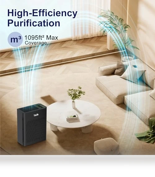 Air Purifier for Home Large Room — HEPA Air Purifiers, ToLife