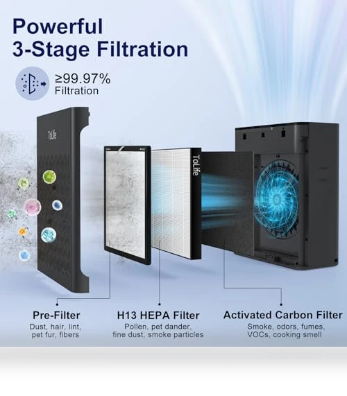 Air Purifier for Home Large Room — HEPA Air Purifiers, ToLife