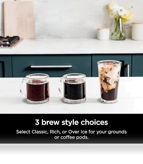 DualBrew Hot & Iced Coffee Maker — Chilled Brew Essentials, Ninja