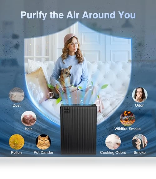 Large Room Air Purifier — HEPA Air Purifiers, Mooka Family