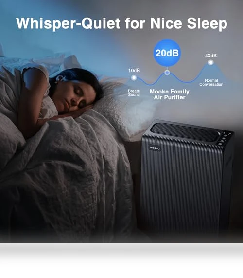 Large Room Air Purifier — HEPA Air Purifiers, Mooka Family