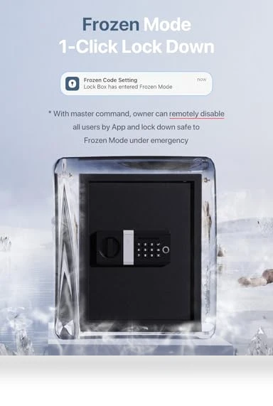Smart Home Safe — Smart Home Security, FORFEND Security