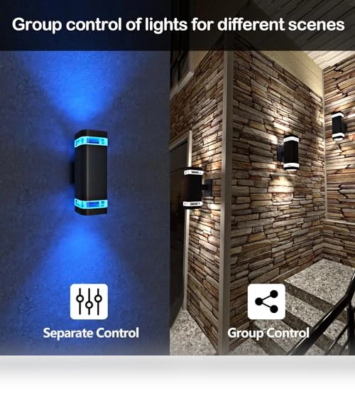 Smart Up and Down Lights Outdoor 2 Pack — Garden Illumination, wowlite