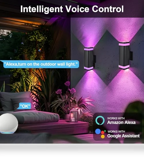 Smart Up and Down Lights Outdoor 2 Pack — Garden Illumination, wowlite