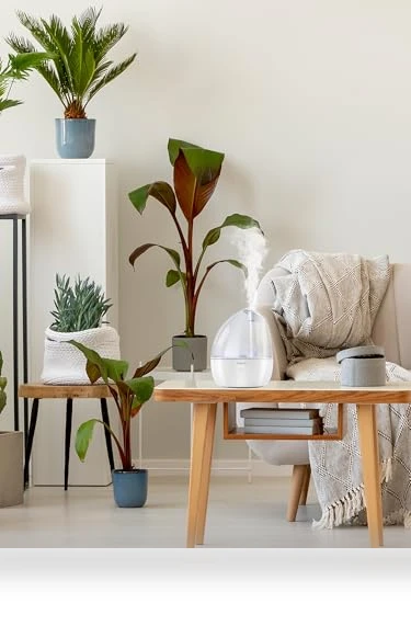 Cool Mist Humidifier — Air Moisturizers, Poksolfy