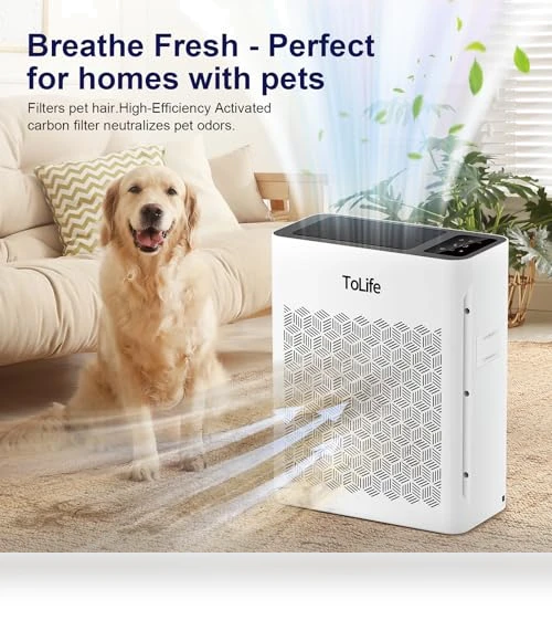 Powerful Air Purifier for Home Large Room — HEPA Air Purifiers, ToLife