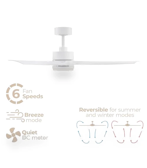 Smart Indoor and Outdoor Ceiling Fan with LED Light Kit — Ceiling Fan Wall Controls, East Grove Home