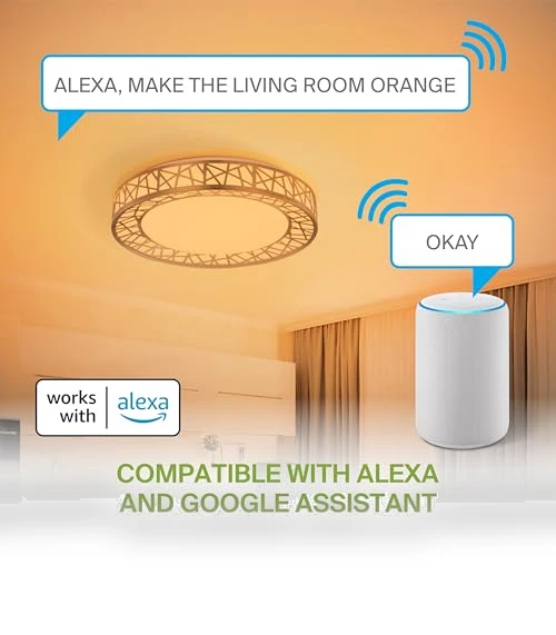 Smart RGBW Flush Mount Ceiling Light — Overhead Lighting, ASD