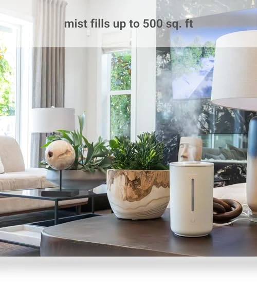 Wellness Humidifier — Air Moisturizers, Hey Dewy