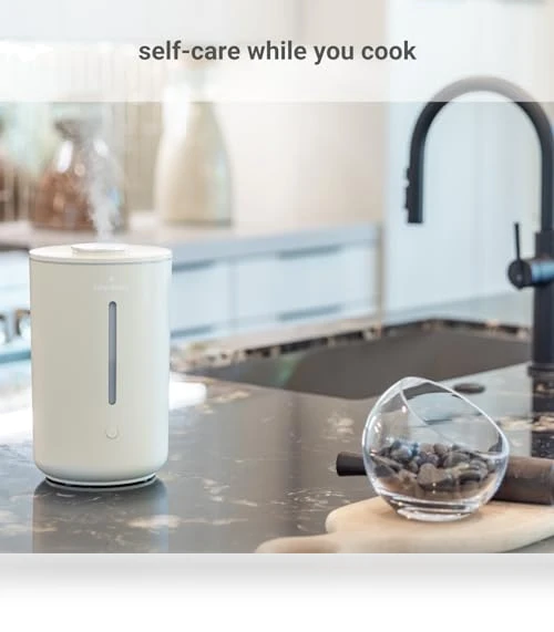 Wellness Humidifier — Air Moisturizers, Hey Dewy
