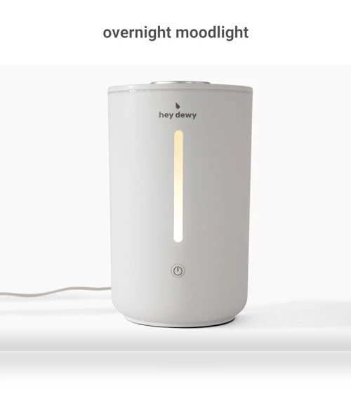 Wellness Humidifier — Air Moisturizers, Hey Dewy
