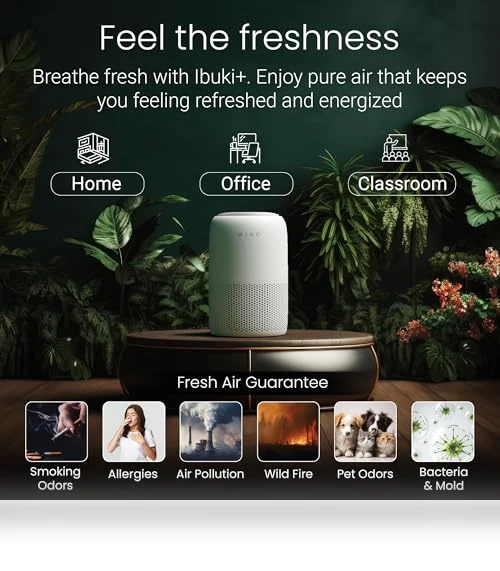 Air Purifier with 3-in-1 HEPA Filter & Sleep Mode — HEPA Air Purifiers, MIKO