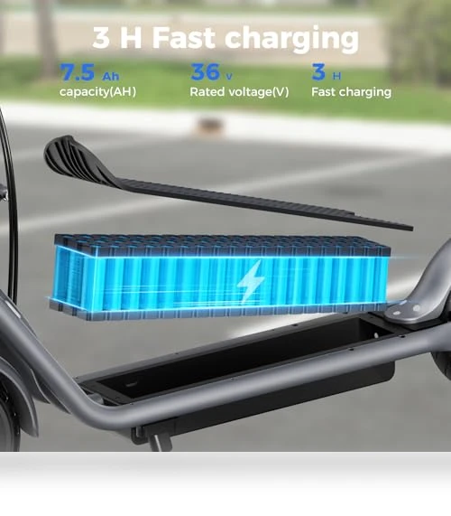 Electric Scooter — Electric Self-Balancing Scooters, Jasion