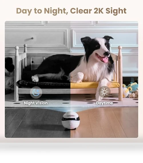 Indoor Security Camera Robot — Cameras & Monitors, Enabot