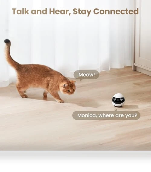 Indoor Security Camera Robot — Cameras & Monitors, Enabot