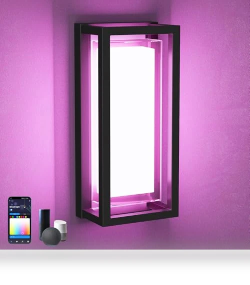 LED Smart Outdoor Wall Lights — Garden Illumination, WISELUME