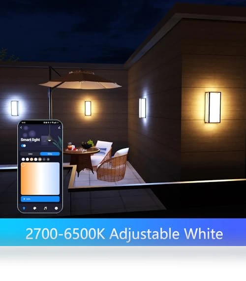 LED Smart Outdoor Wall Lights — Garden Illumination, WISELUME