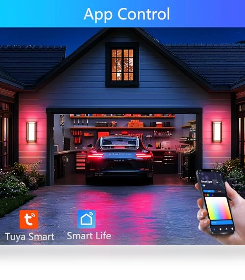 LED Smart Outdoor Wall Lights — Garden Illumination, WISELUME