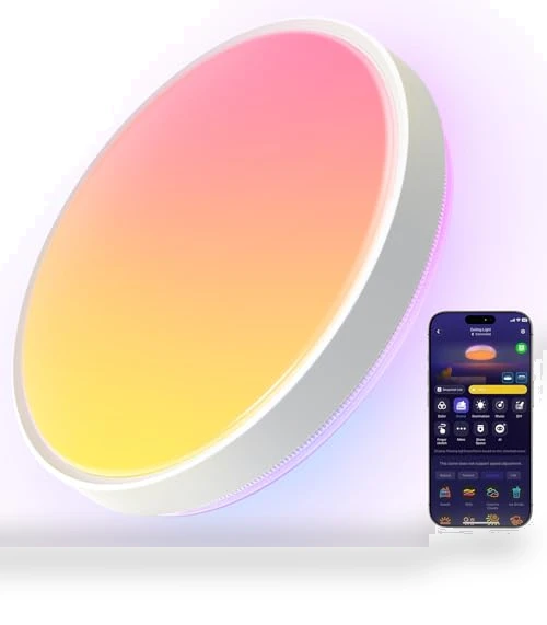 Smart Ceiling Light — Ceiling, Govee