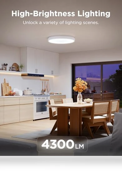 Smart Ceiling Light — Ceiling, Govee